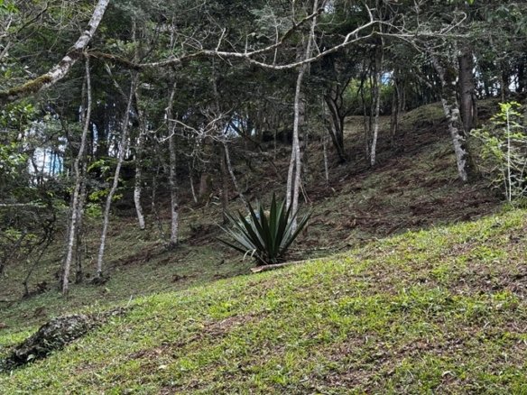 Terreno Exclusivo de 3.168 m² à Venda em Gonçalves – MG COD2320 (13)