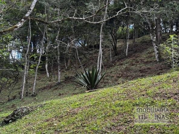 Terreno Exclusivo de 3.168 m² à Venda em Gonçalves – MG COD2320 (13)