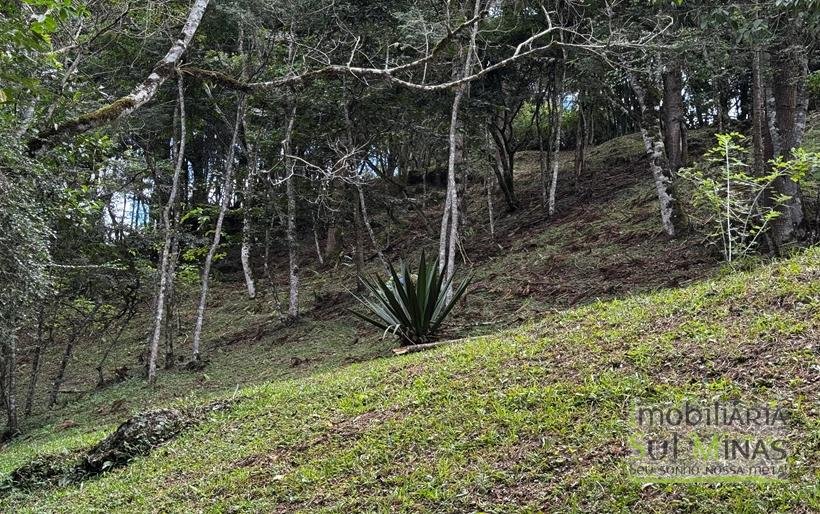 Terreno Exclusivo de 3.168 m² à Venda em Gonçalves – MG COD2320 (13)