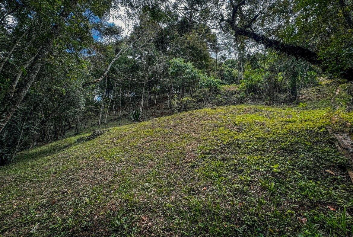 Terreno Exclusivo de 3.168 m² à Venda em Gonçalves – MG COD2320 (16)