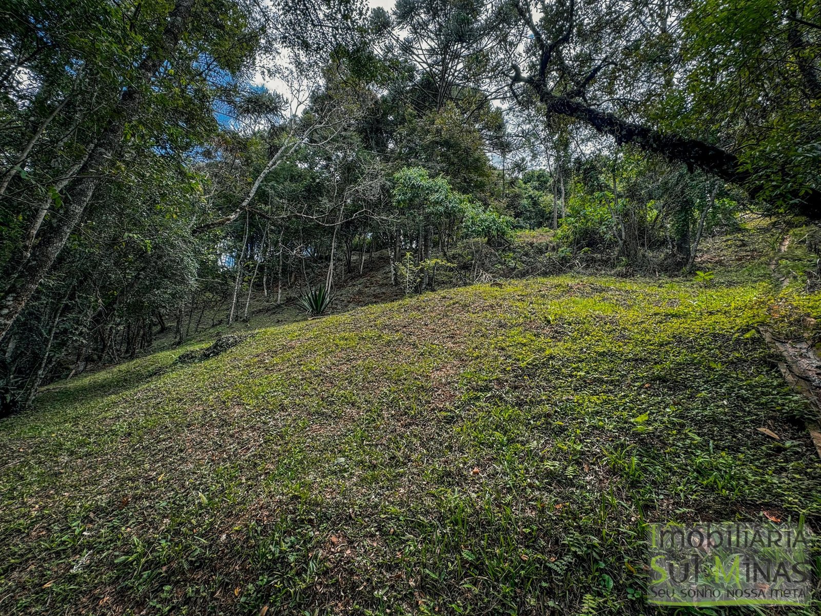 Terreno Exclusivo de 3.168 m² à Venda em Gonçalves – MG COD2320 (16)