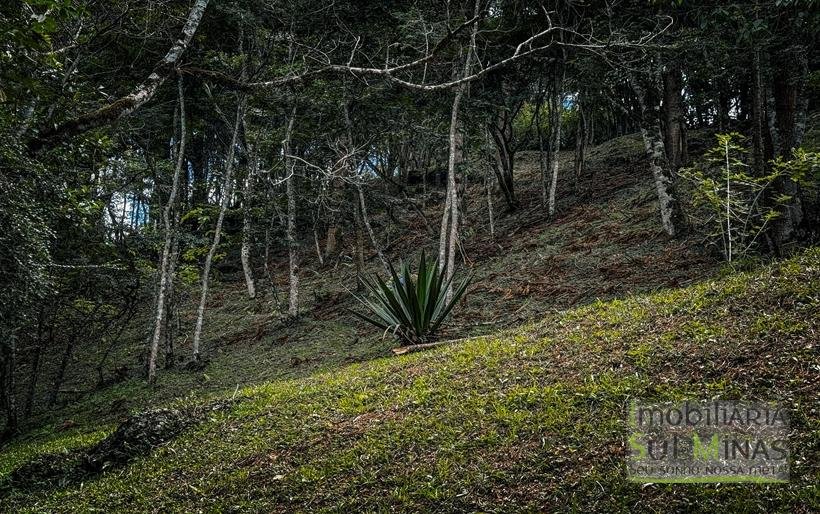 Terreno Exclusivo de 3.168 m² à Venda em Gonçalves – MG COD2320 (17)