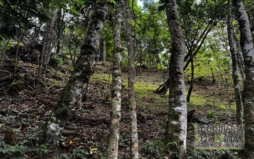 Terreno Exclusivo de 3.168 m² à Venda em Gonçalves – MG COD2320 (2)