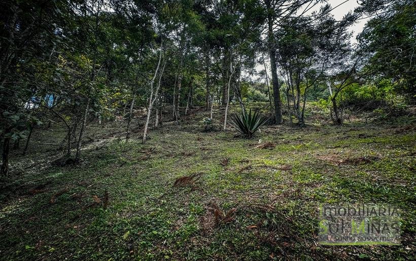 Terreno Exclusivo de 3.168 m² à Venda em Gonçalves – MG COD2320 (20)