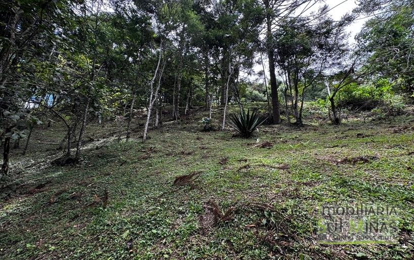 Terreno Exclusivo de 3.168 m² à Venda em Gonçalves – MG COD2320 (7)