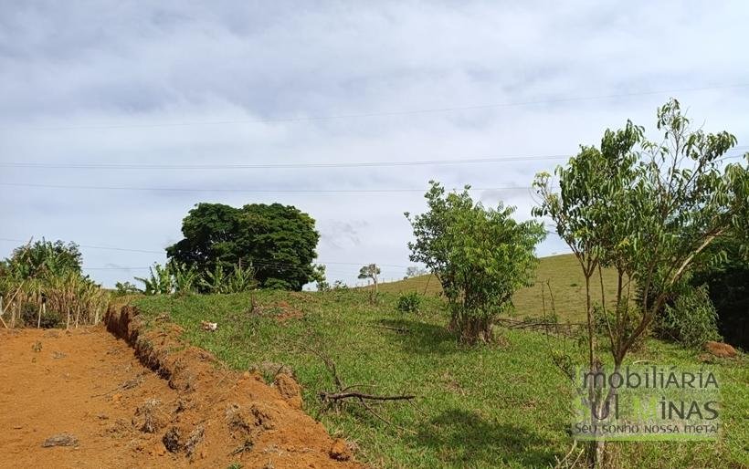 Terreno Rural Com 1000m² À Venda em Cambuí MGCOD2311 (1)