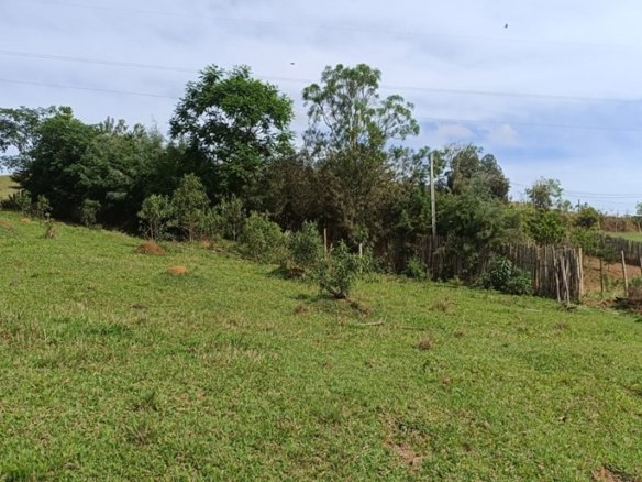Terreno Rural Com 1000m² À Venda em Cambuí MGCOD2311 (9)