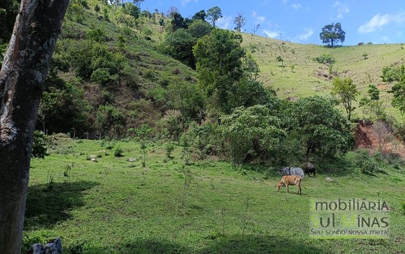 Terreno Rural à Venda – 8.100m2 Córrego do Bom Jesus COD2318 (11)