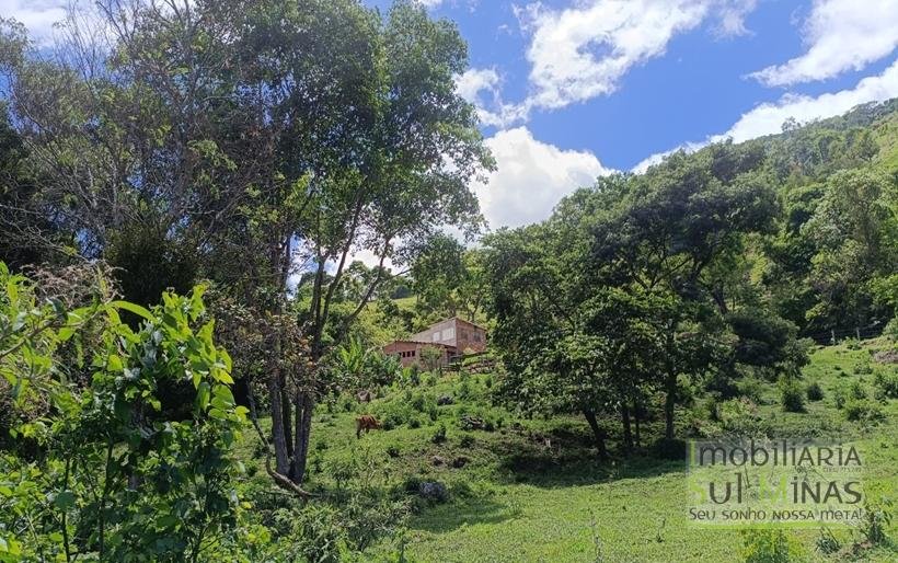 Terreno Rural à Venda – 8.100m2 Córrego do Bom Jesus COD2318 (13)