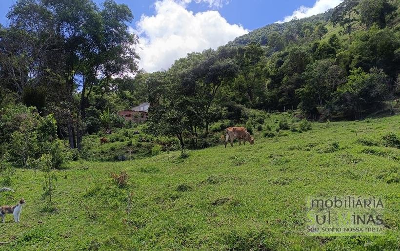 Terreno Rural à Venda – 8.100m2 Córrego do Bom Jesus COD2318 (14)