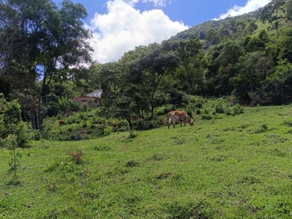 Terreno Rural à Venda – 8.100m2 Córrego do Bom Jesus COD2318 (15)