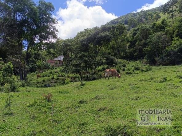 Terreno Rural à Venda – 8.100m2 Córrego do Bom Jesus COD2318 (15)