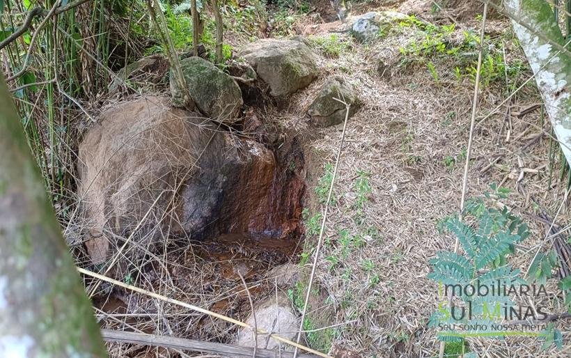 Terreno Rural à Venda – 8.100m2 Córrego do Bom Jesus COD2318 (16)