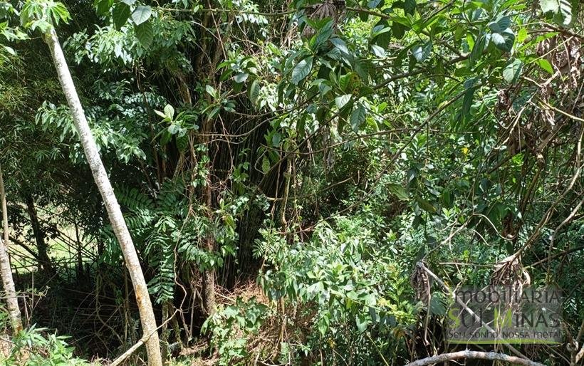 Terreno Rural à Venda – 8.100m2 Córrego do Bom Jesus COD2318 (17)