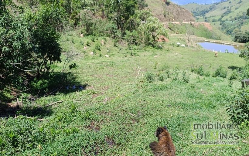 Terreno Rural à Venda – 8.100m2 Córrego do Bom Jesus COD2318 (18)