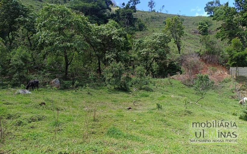 Terreno Rural à Venda – 8.100m2 Córrego do Bom Jesus COD2318 (19)
