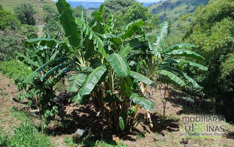 Terreno Rural à Venda – 8.100m2 Córrego do Bom Jesus COD2318 (5)