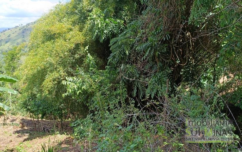 Terreno Rural à Venda – 8.100m2 Córrego do Bom Jesus COD2318 (9)