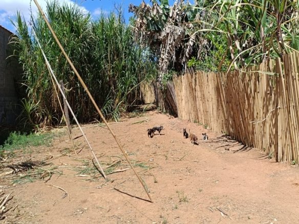 Terreno Urbano Com 280m² À Venda em Estiva MG COD2258 (7)