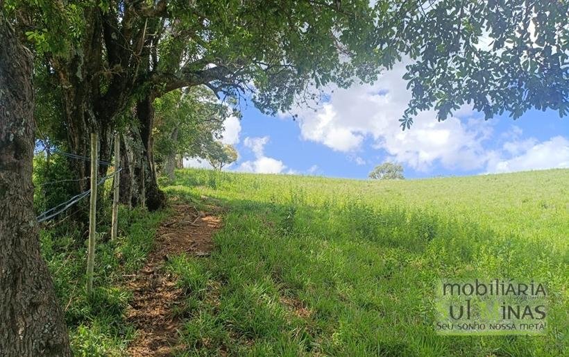 Terreno com 4.6 Hectares À Venda em Bom Repouso MG COD2313 (1)