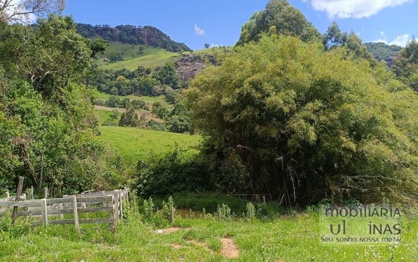 Terreno com 4.6 Hectares À Venda em Bom Repouso MG COD2313 (12)