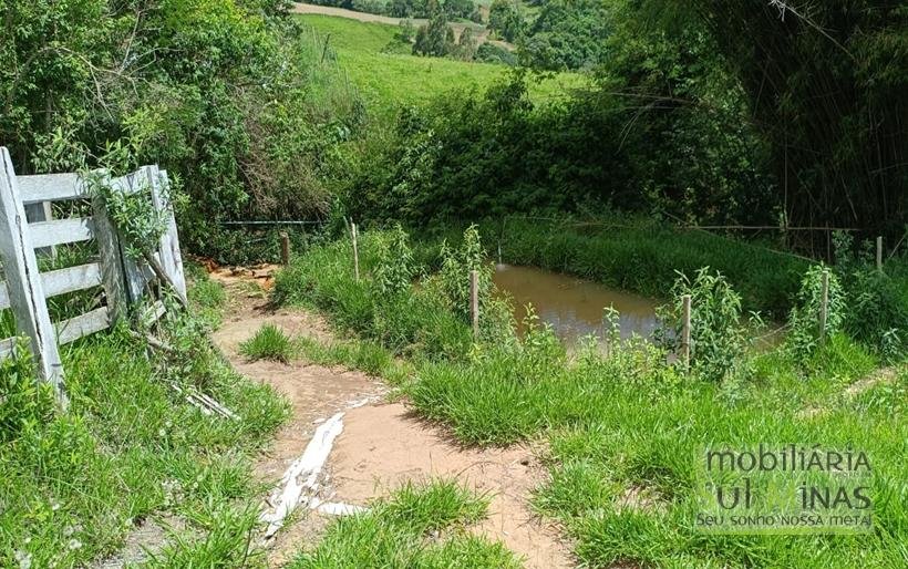 Terreno com 4.6 Hectares À Venda em Bom Repouso MG COD2313 (14)