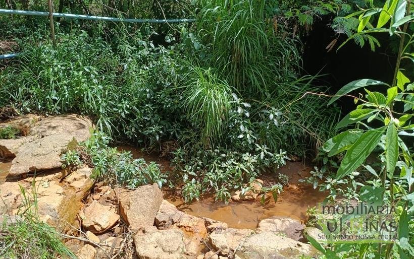 Terreno com 4.6 Hectares À Venda em Bom Repouso MG COD2313 (17)