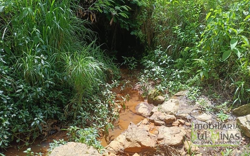 Terreno com 4.6 Hectares À Venda em Bom Repouso MG COD2313 (18)