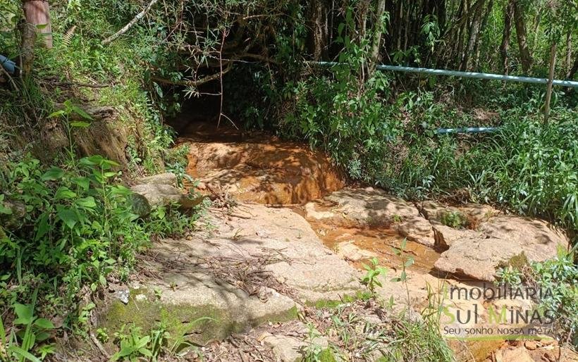 Terreno com 4.6 Hectares À Venda em Bom Repouso MG COD2313 (19)