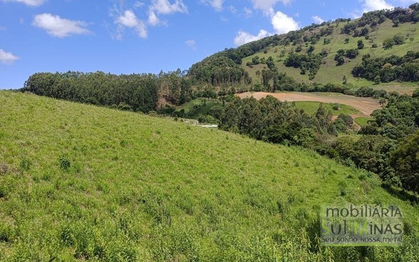 Terreno com 4.6 Hectares À Venda em Bom Repouso MG COD2313 (2)