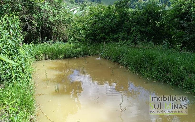 Terreno com 4.6 Hectares À Venda em Bom Repouso MG COD2313 (20)