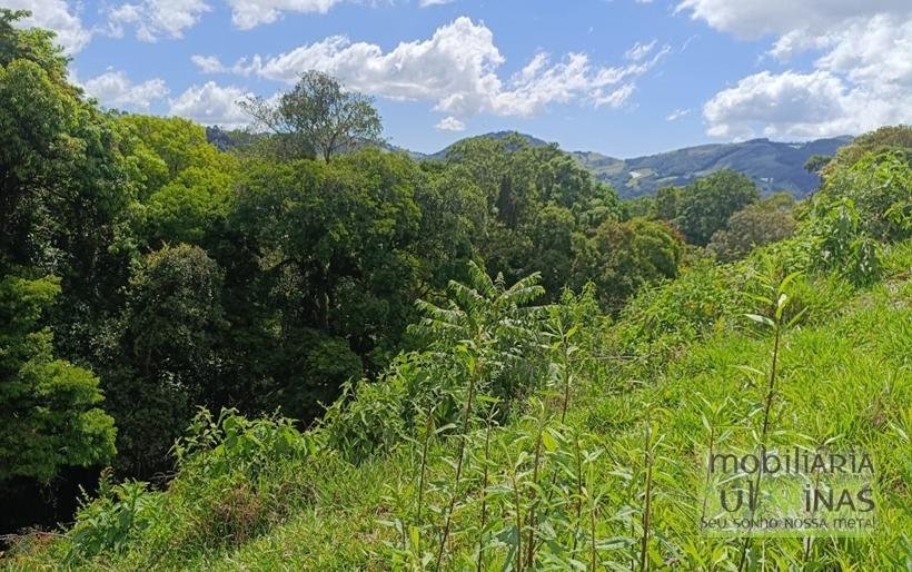 Terreno com 4.6 Hectares À Venda em Bom Repouso MG COD2313 (22)