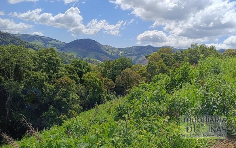 Terreno com 4.6 Hectares À Venda em Bom Repouso MG COD2313 (23)