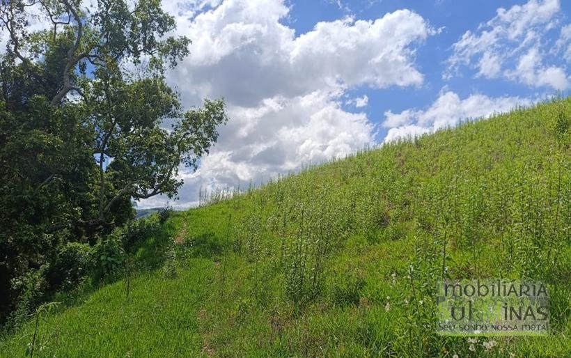 Terreno com 4.6 Hectares À Venda em Bom Repouso MG COD2313 (24)