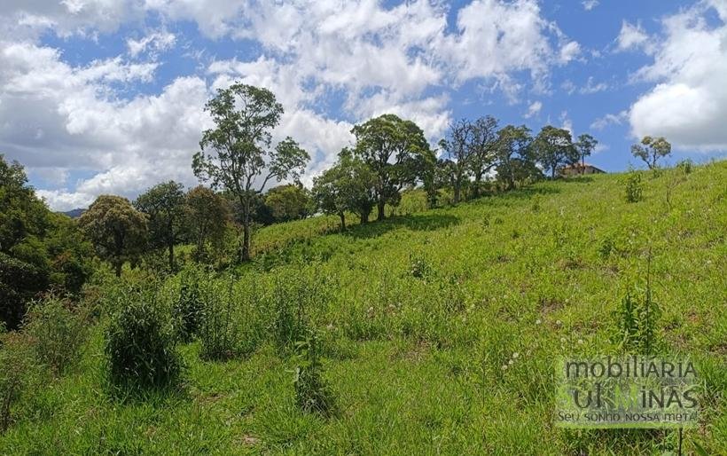 Terreno com 4.6 Hectares À Venda em Bom Repouso MG COD2313 (26)