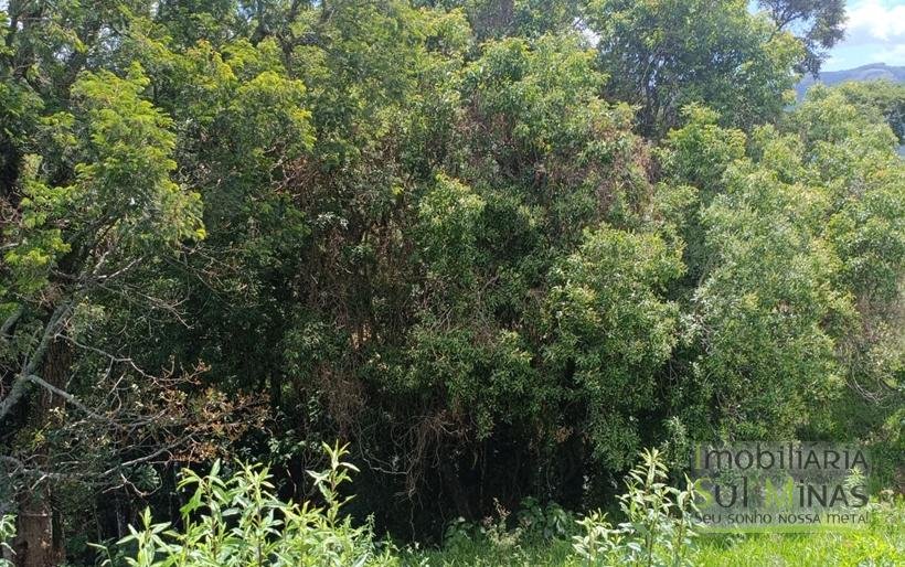 Terreno com 4.6 Hectares À Venda em Bom Repouso MG COD2313 (27)