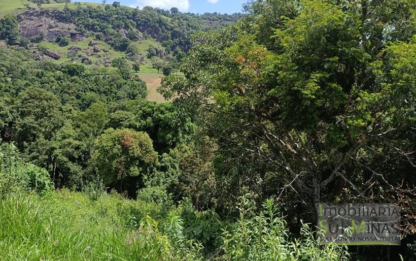 Terreno com 4.6 Hectares À Venda em Bom Repouso MG COD2313 (28)