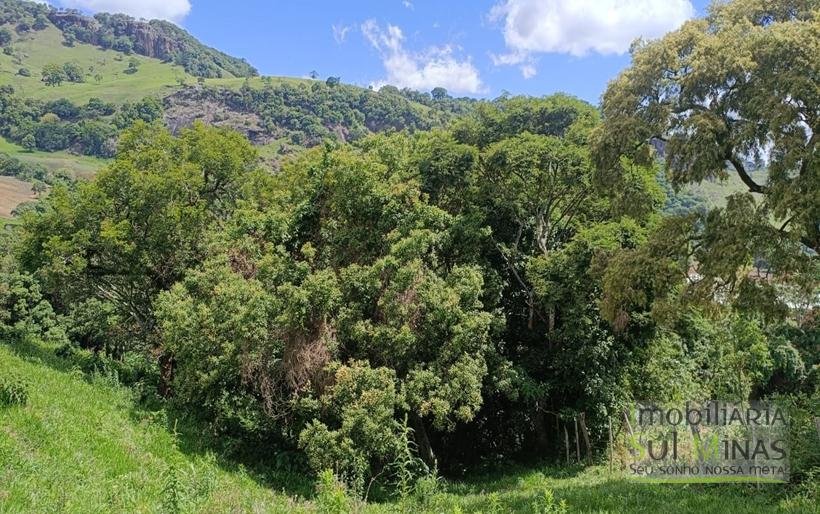 Terreno com 4.6 Hectares À Venda em Bom Repouso MG COD2313 (29)