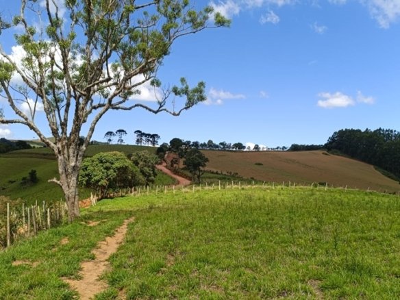 Terreno com 4.6 Hectares À Venda em Bom Repouso MG COD2313 (3)