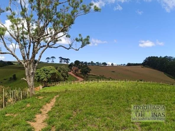 Terreno com 4.6 Hectares À Venda em Bom Repouso MG COD2313 (3)
