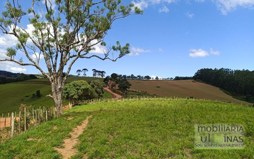 Terreno com 4.6 Hectares À Venda em Bom Repouso MG COD2313 (3)