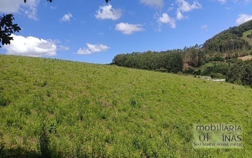 Terreno com 4.6 Hectares À Venda em Bom Repouso MG COD2313 (30)