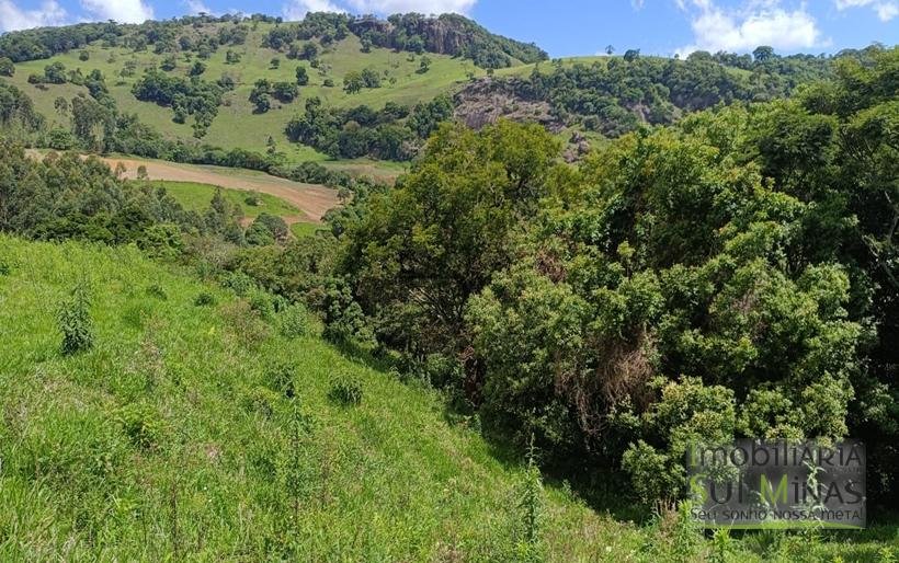 Terreno com 4.6 Hectares À Venda em Bom Repouso MG COD2313 (31)