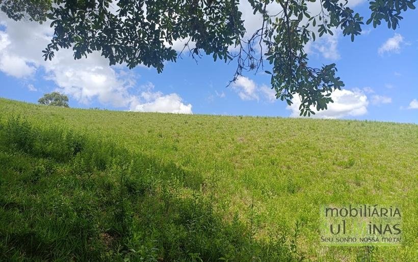 Terreno com 4.6 Hectares À Venda em Bom Repouso MG COD2313 (32)