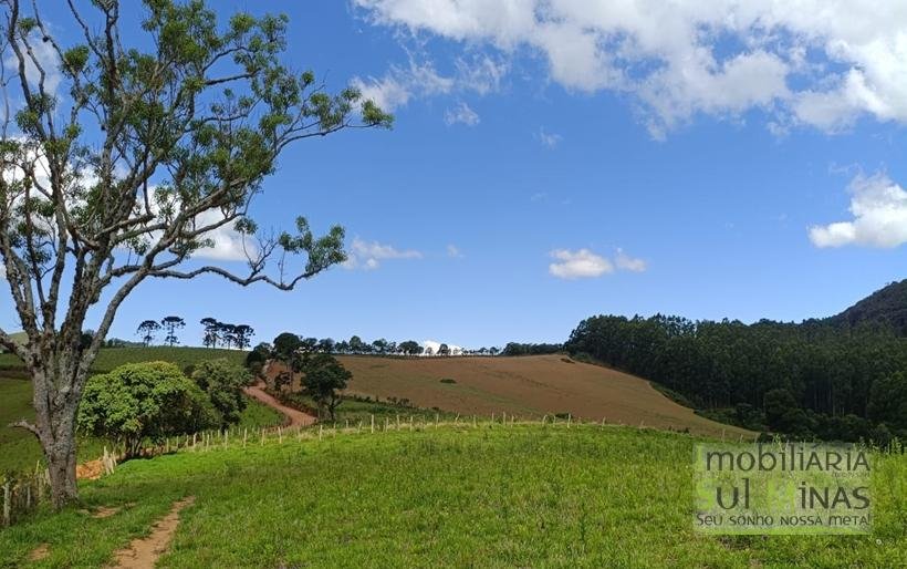 Terreno com 4.6 Hectares À Venda em Bom Repouso MG COD2313 (4)