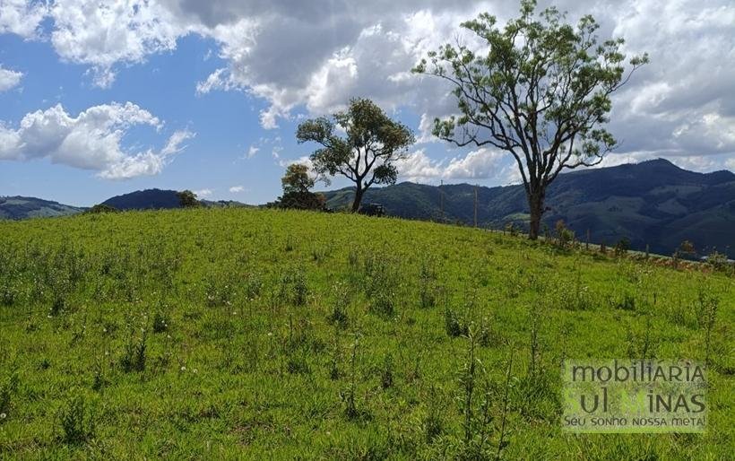 Terreno com 4.6 Hectares À Venda em Bom Repouso MG COD2313 (5)