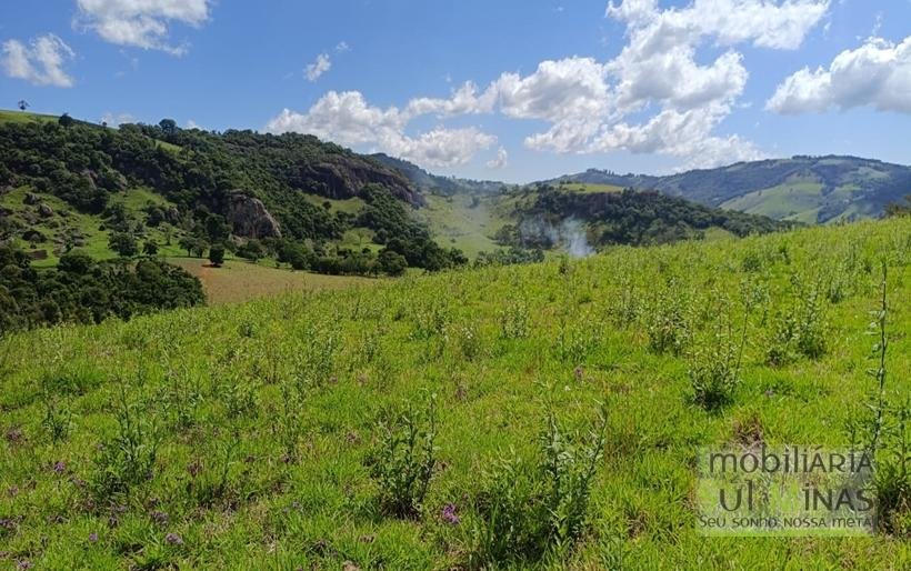 Terreno com 4.6 Hectares À Venda em Bom Repouso MG COD2313 (8)