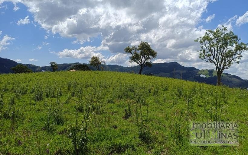 Terreno com 4.6 Hectares À Venda em Bom Repouso MG COD2313 (9)