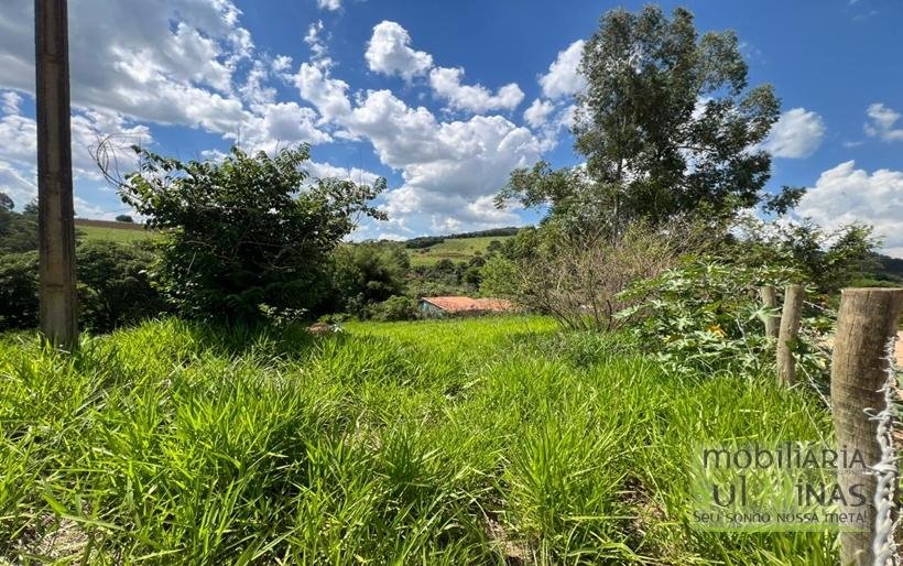 Terreno de 4.000 m² com Nascente a venda em Cambui MG COD2323 (10)