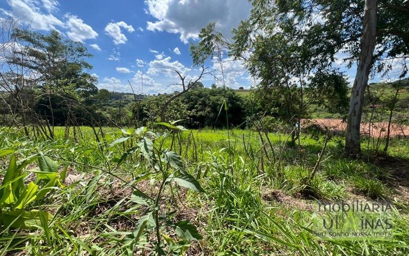 Terreno de 4.000 m² com Nascente a venda em Cambui MG COD2323 (12)